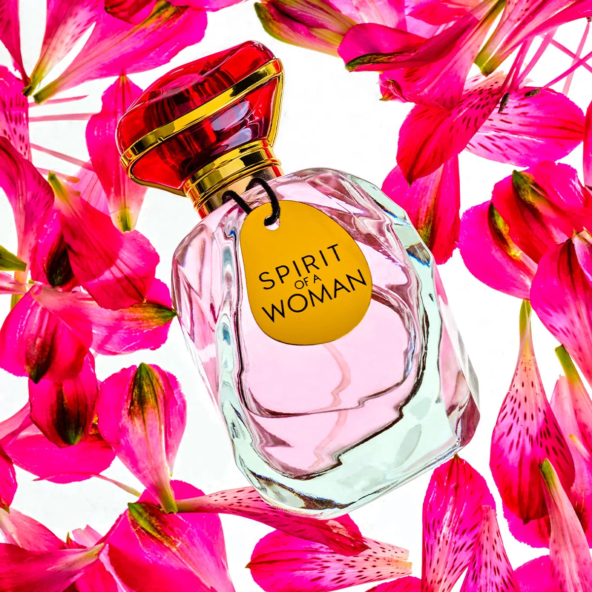 Spirit of a Woman